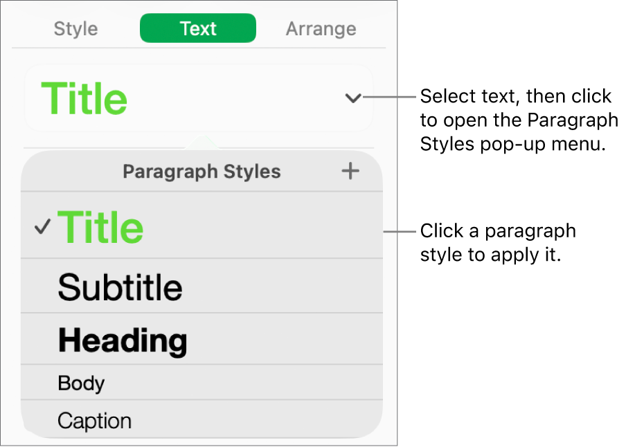 The Paragraph Styles menu.