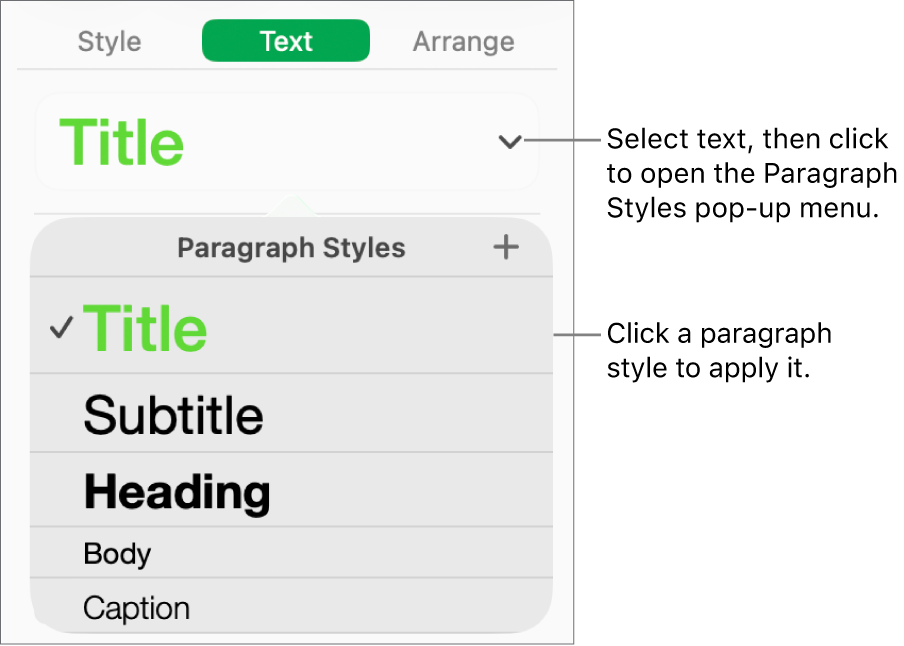 The Paragraph Styles menu.