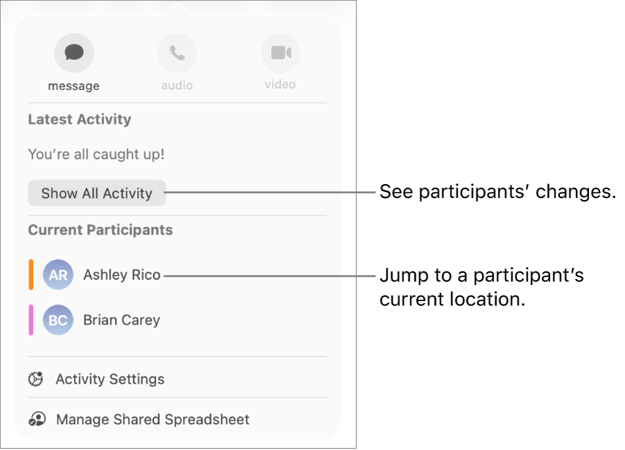 The collaboration menu with two current participants listed.