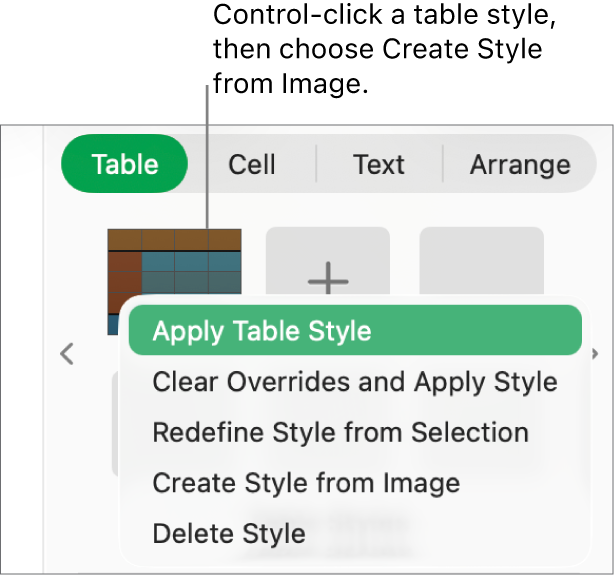 The table style shortcut menu.