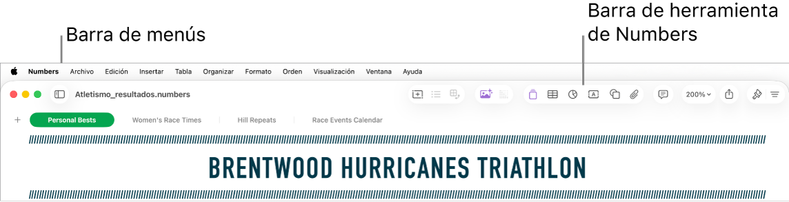 La barra de menús en la parte superior de la pantalla con los menús Apple, Numbers, Archivo, Edición, Insertar, Tabla, Organizar, Formato, Ordenar, Visualización, Ventana y Ayuda. Debajo de la barra de menús se encuentra una hoja de cálculo de Numbers abierta con botones de la barra de herramientas a lo largo de la parte superior, con las opciones Visualización, Zoom, Agregar categoría, Tabla dinámica, Insertar, Tabla, Gráfica y Texto.