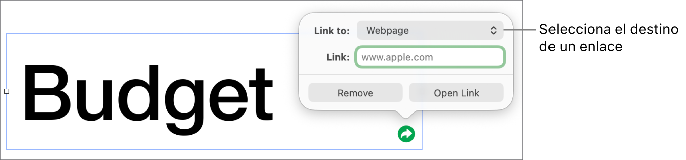 Controles del editor de enlaces con la opción “Página web” seleccionada y los botones Eliminar y “Abrir enlace” en la parte inferior.