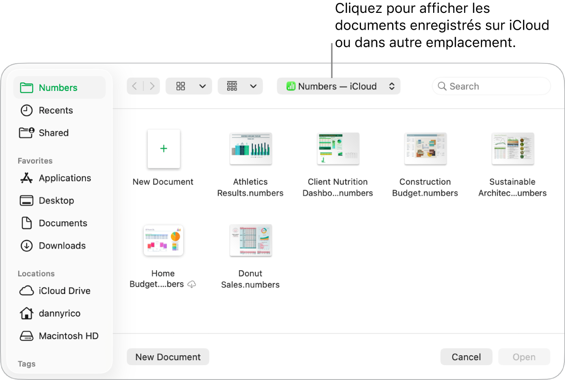 La boîte de dialogue Ouvrir avec la barre latérale s’ouvre à gauche et le lecteur iCloud Drive sélectionné apparaît dans le menu contextuel en haut de l’écran. Les dossiers de Keynote, Numbers et Pages apparaissent dans la boîte de dialogue ainsi qu’un bouton Nouveau document.