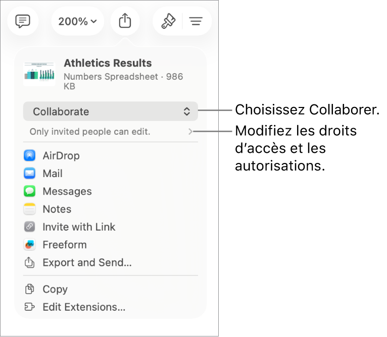 Le menu Partager avec l’option Collaborer sélectionnée dans le haut, au-dessus des réglages d’accès et d’autorisation.