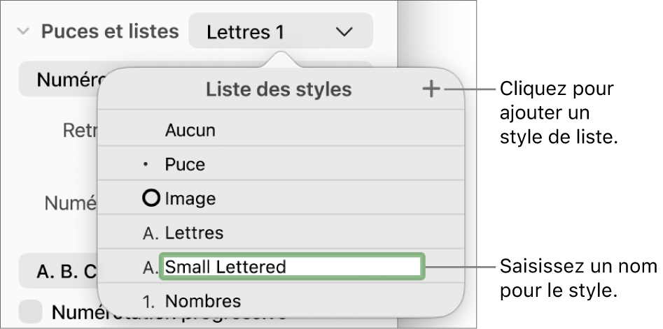 Menu local « Styles de liste » avec un bouton Ajouter dans le coin supérieur droit et un nom de style de paramètre fictif dont le texte est sélectionné.