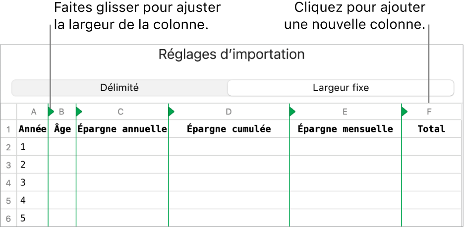 Les réglages d’importation d’un fichier texte à largeur fixe.