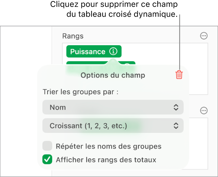 Le menu « Options du champ » affichant les commandes permettant de regrouper et de trier les données, ainsi que l’option de suppression d’un champ.
