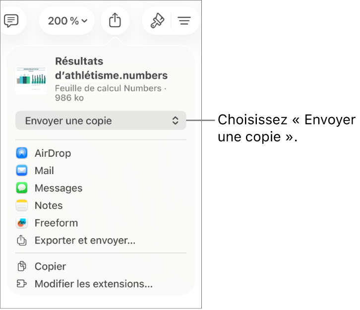 Le menu Partager avec l’option Envoyer une copie sélectionnée en haut.