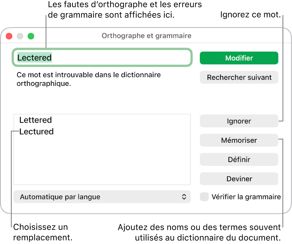 La fenêtre Orthographe et grammaire.
