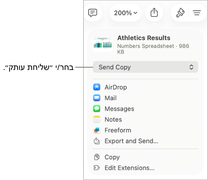תפריט השיתוף כאשר האפשרות ״שלח/י עותק״ נבחרת בחלק העליון.