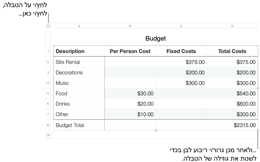 טבלה שנבחרה, עם ריבועים לבנים לשינוי גודל.