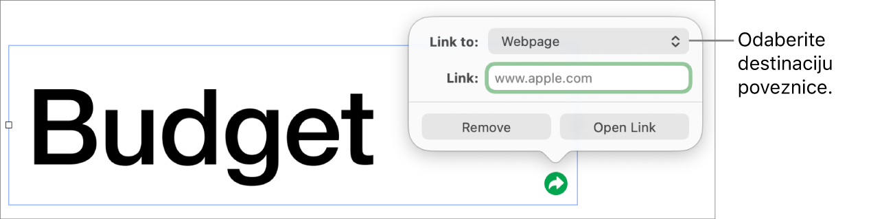 Kontrole urednika linka s odabranom opcijom Web stranica, tipke Ukloni i Otvori link nalaze se na dnu.