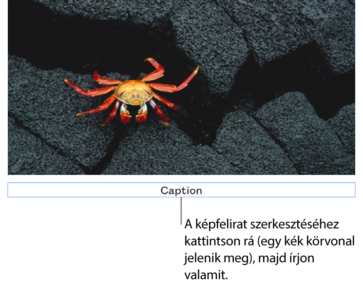 A helyőrző képfelirat „Képfelirat” egy fotó alatt látható, míg a képfelirat mező körül látható kék körvonal azt jelzi, hogy a mező ki van jelölve.