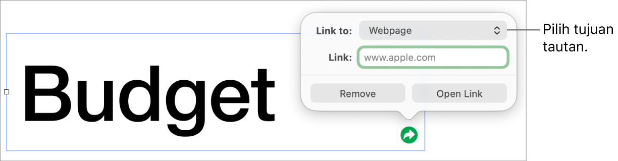 Kontrol editor tautan dengan Halaman Web dipilih dan tombol Hapus serta Buka Tautan di bagian bawah.
