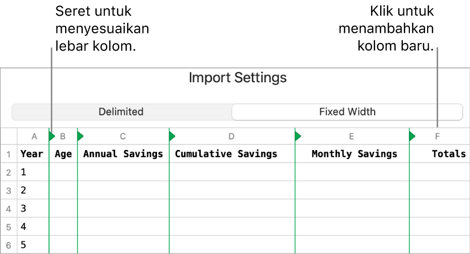 Pengaturan impor untuk file teks lebar tetap.