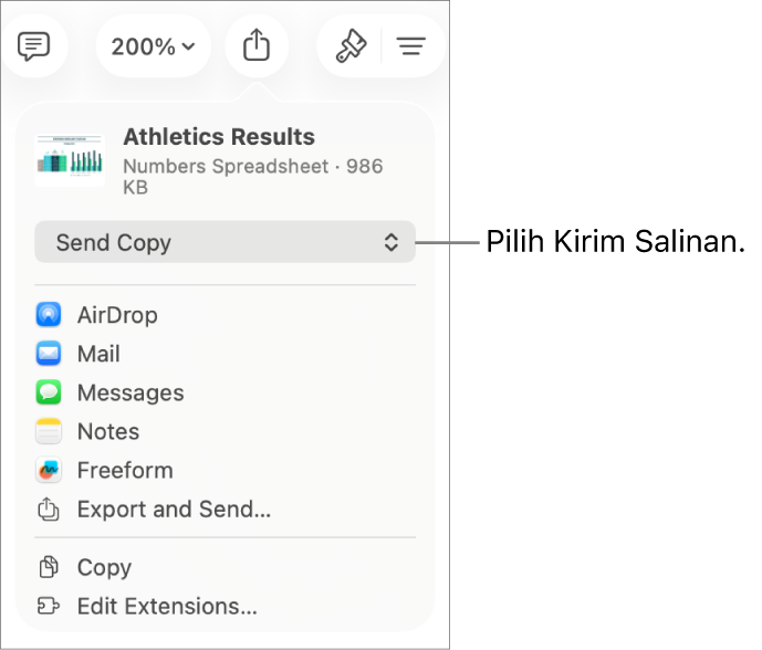 Menu Bagikan dengan Kirim Salinan dipilih di bagian atas.