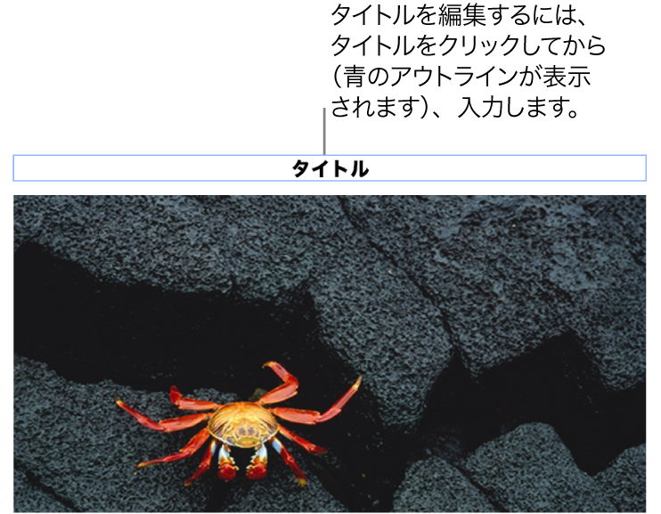写真の下に「タイトル」というプレースホルダタイトルが表示され、タイトルフィールドが青い外枠で囲まれて、選択されていることが示されている状態。