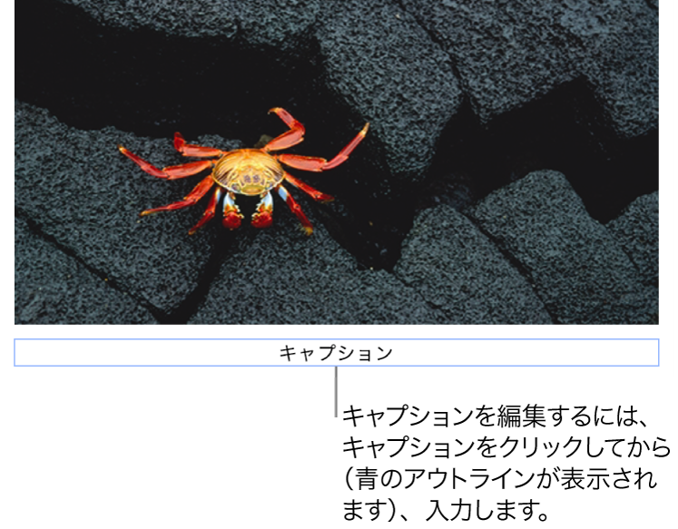 写真の下に「キャプション」というプレースホルダキャプションが表示され、キャプションフィールドが青い外枠で囲まれて、選択されていることが示されている状態。