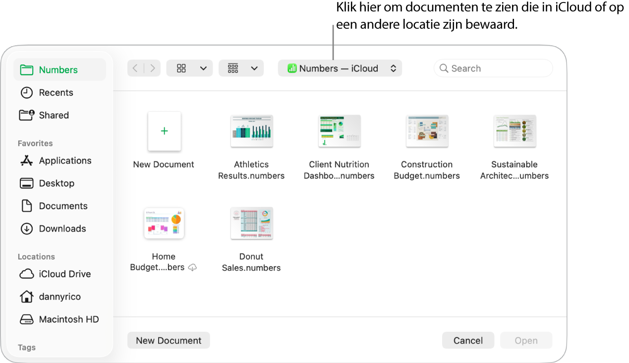 Het dialoogvenster 'Open' waarin de navigatiekolom aan de linkerkant is geopend en waarin in het pop‑upmenu bovenin 'iCloud Drive' is geselecteerd. In het dialoogvenster staan mappen voor Keynote, Numbers en Pages en de knop 'Nieuw document'.