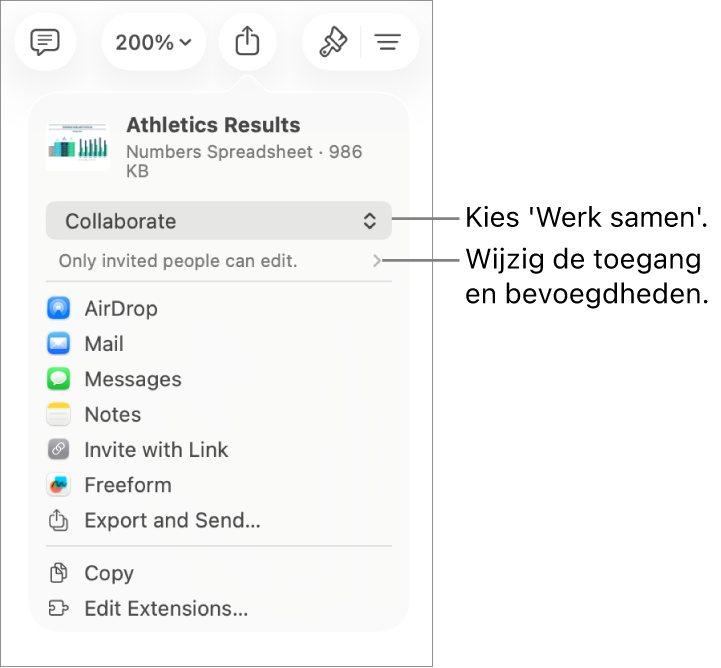 Het Deel-menu waarin bovenin 'Werk samen' is geselecteerd. Eronder staan toegangsinstellingen en bevoegdheden.