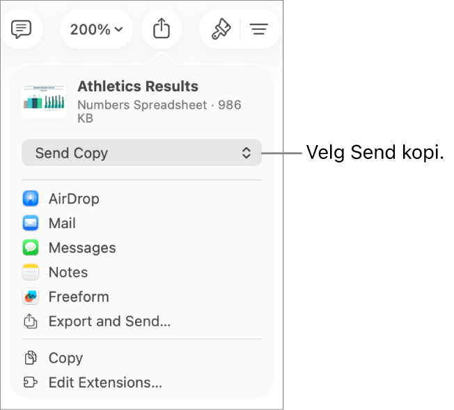 Del-menyen med Send kopi markert øverst.