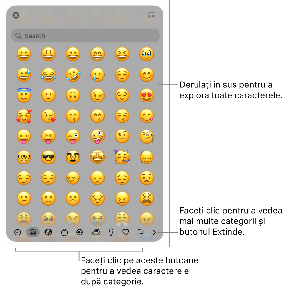 Fereastra pop-up Caractere speciale afișând emoticoane, butoane pentru diferite tipuri de simboluri în partea de jos și o explicație pentru un buton care afișează fereastra completă Caractere.