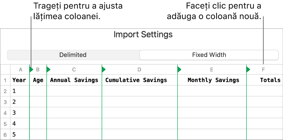 Configurările de importare pentru un fișier de text cu lățime fixă.