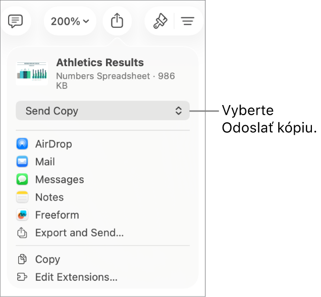 Menu Zdieľať s vybranou možnosťou Odoslať kópiu vo vrchnej časti.