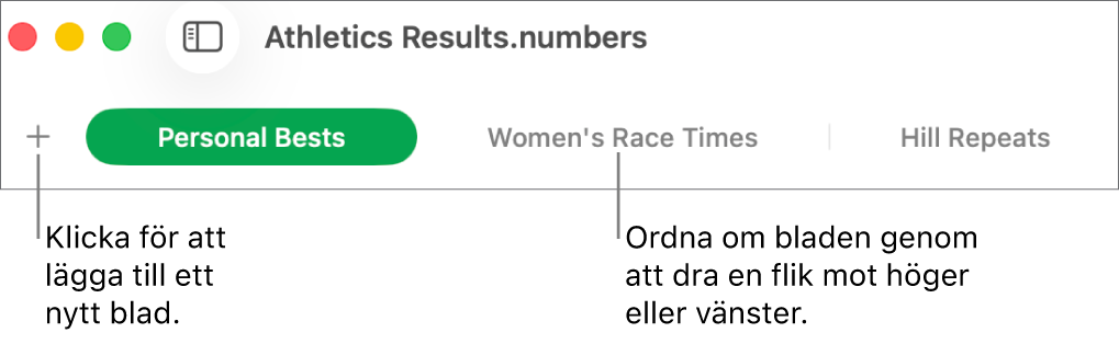 Flikfältet för att lägga till ett nytt blad och ordna om blad.