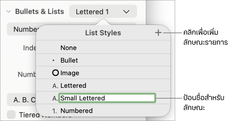 เมนูลักษณะรายการที่แสดงขึ้นที่มีปุ่มเพิ่มอยู่มุมขวาบนสุด และชื่อลักษณะช่องว่างที่มีข้อความที่เลือกอยู่