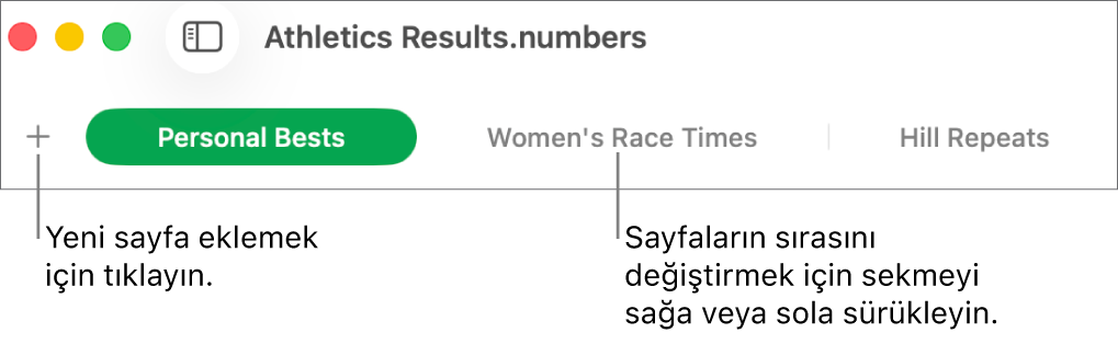 Yeni sayfa ekleme ve sayfaları yeniden düzenleme için sekme çubuğu.