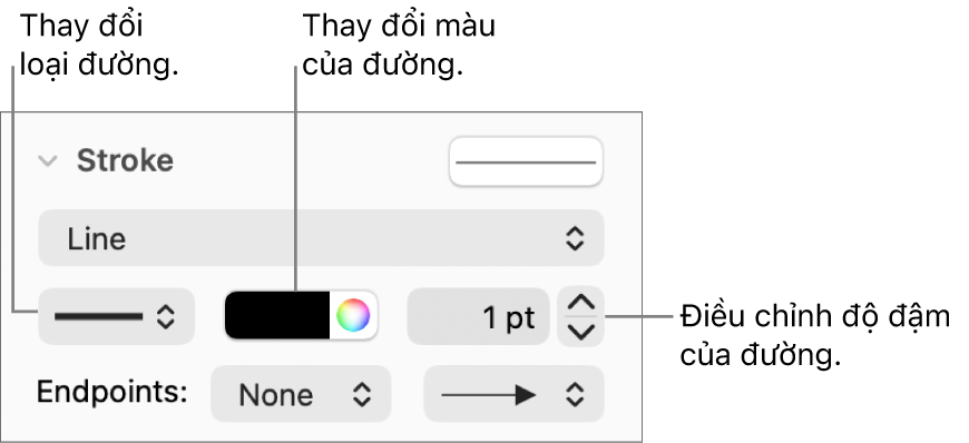 Các điều khiển nét để đặt điểm cuối, độ đậm của đường và màu.