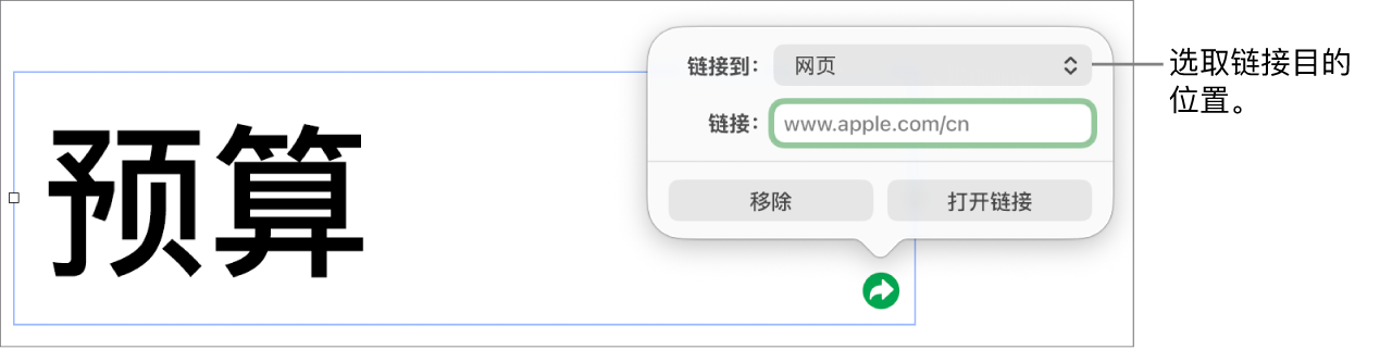 链接编辑器控制,“网页”已选中,“移除”和“打开链接”按钮位于底部。