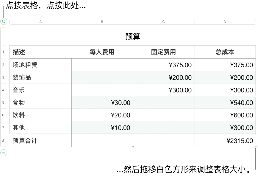 所选表格,含用于调整大小的白色方形。