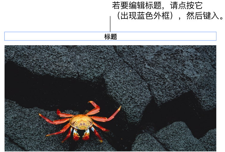 占位符标题“标题”显示在照片下方;标题栏周围的蓝色外框表示它已被选中。