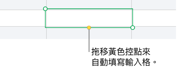 選取的輸入格帶有黃色控點，你可以拖移來自動填滿輸入格。