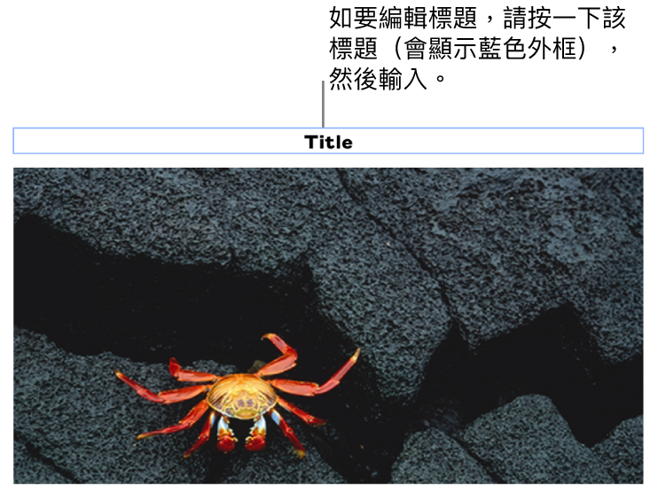 標題説明，「標題」在相片下方顯示，標題欄位周圍顯示藍色外框代表其已被選取。
