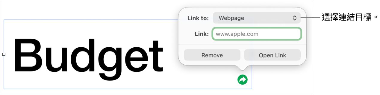 連結編輯器控制項目，其中已選取「網頁」，而「移除」和「開啟連結」按鈕則位於底部。