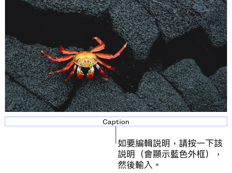 暫存區説明，「説明」在相片下方顯示，説明欄位周圍顯示藍色外框代表其已被選取。