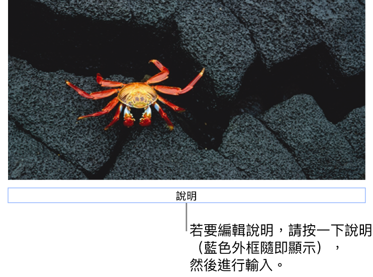 暫存區說明,「說明」顯示在照片下方,藍色外框環繞說明欄位顯示已選取。
