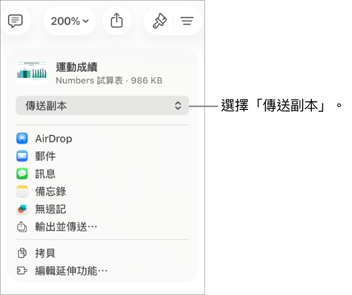 「分享」選單的最上方已選取「傳送副本」。