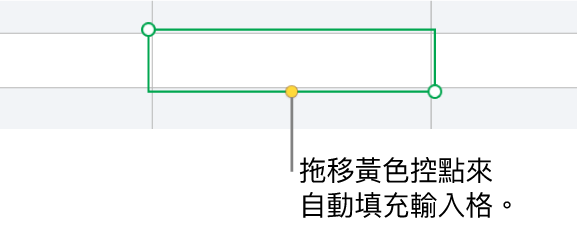 選取的輸入格帶有黃色控點,你可以拖移來自動填充輸入格。
