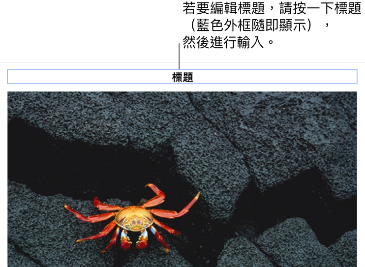 暫存區標題,「標題」顯示在照片下方,藍色外框環繞標題欄位顯示已選取。