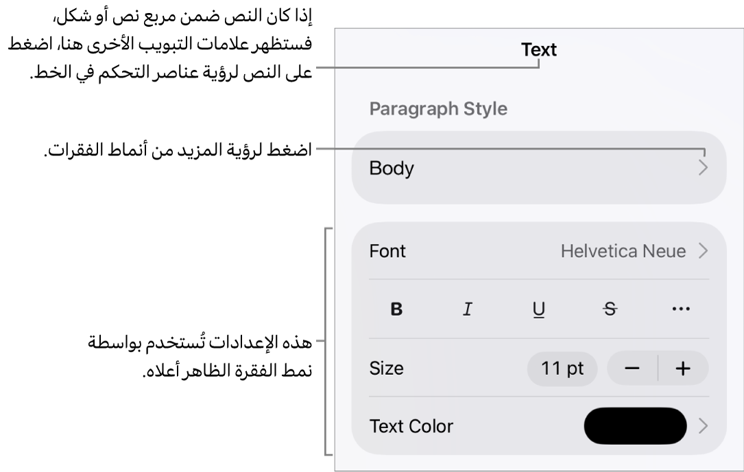 القائمة تنسيق تعرض عناصر التحكم في النص لإعداد أنماط الأحرف والفقرات والخط والحجم واللون.