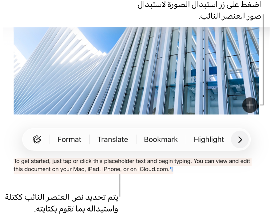 نصوص وصور العناصر النائبة.