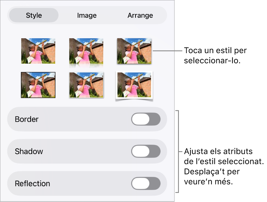 La pestanya Estil del menú Format amb estils d’objecte a la part superior i a sota, els controls per canviar la vora, ombra, reflex i opacitat.