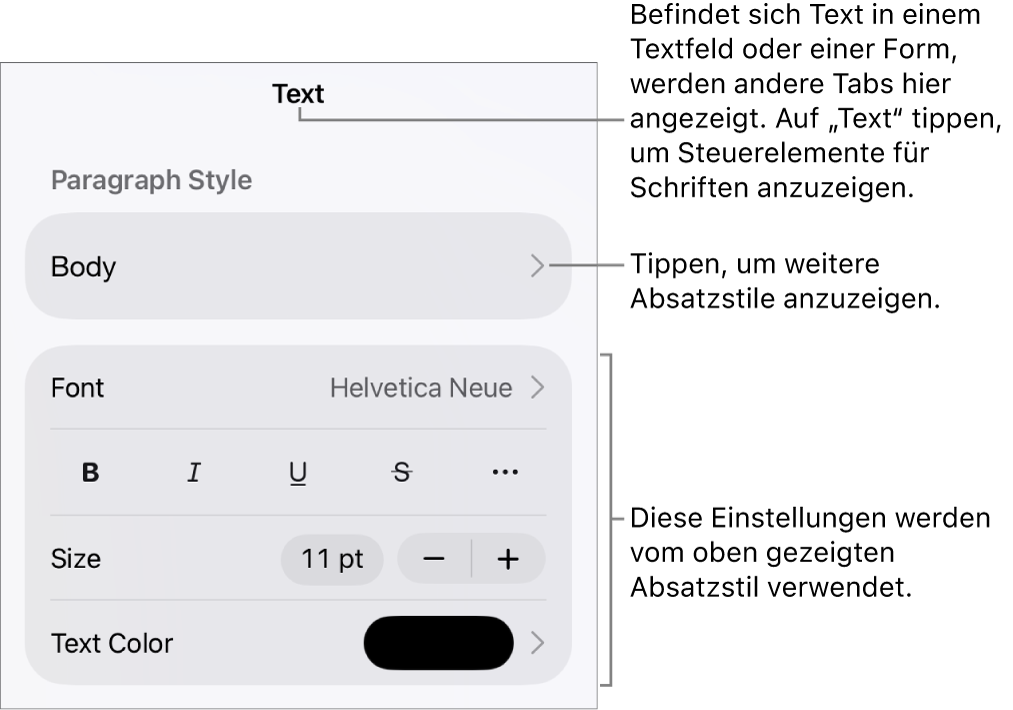 Das Menü „Format“ mit Textsteuerelementen zum Festlegen von Absatz- und Zeichenstilen, Schrift, Größe und Farbe