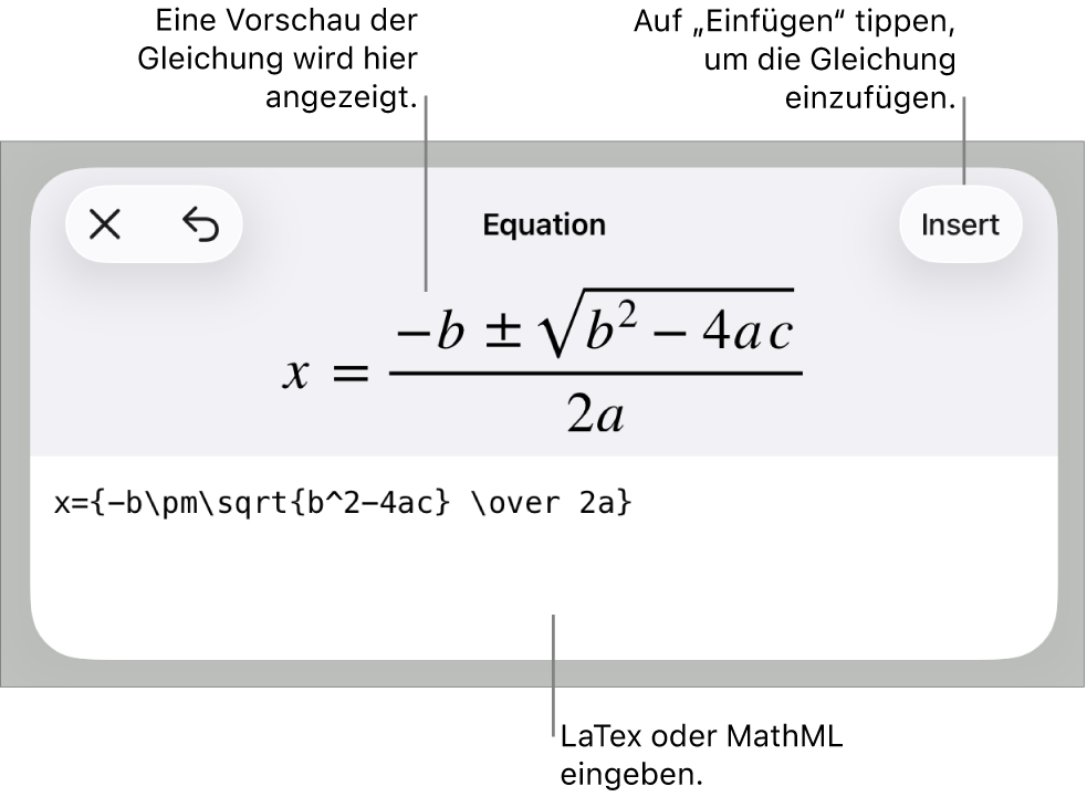 Im Dialogfenster „Gleichung“ wird eine Gleichung angezeigt, die mit MathML-Befehlen geschrieben wurde, darüber wird eine Vorschau der Formel angezeigt.