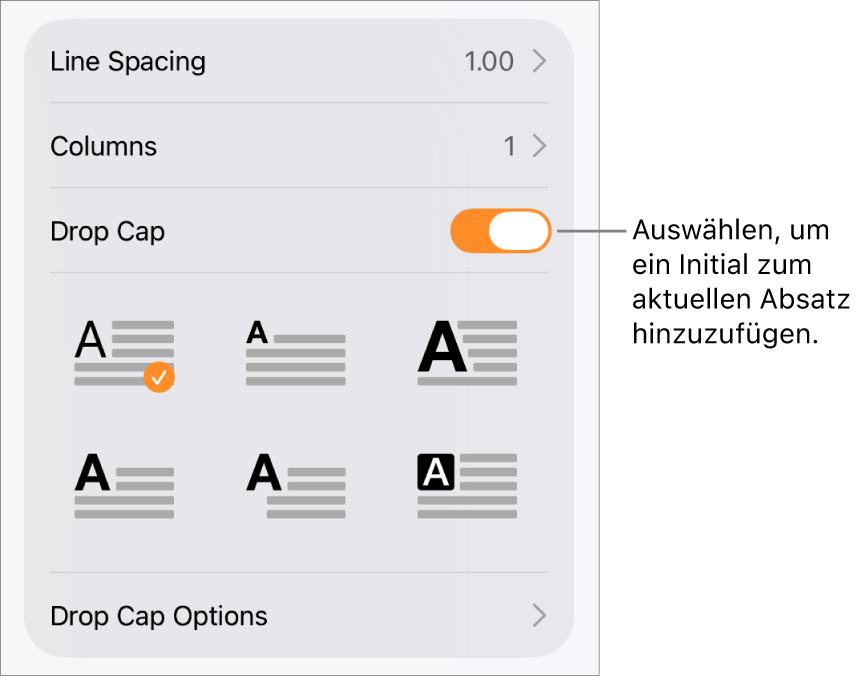 Die Steuerelemente „Initial“ im Menü „Text“