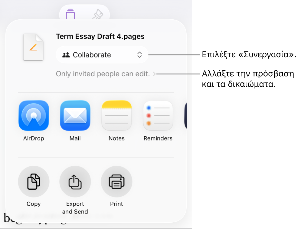 Το μενού «Κοινή χρήση» με επιλεγμένη τη «Συνεργασία» στο πάνω μέρος, και ρυθμίσεις πρόσβασης και δικαιωμάτων από κάτω.